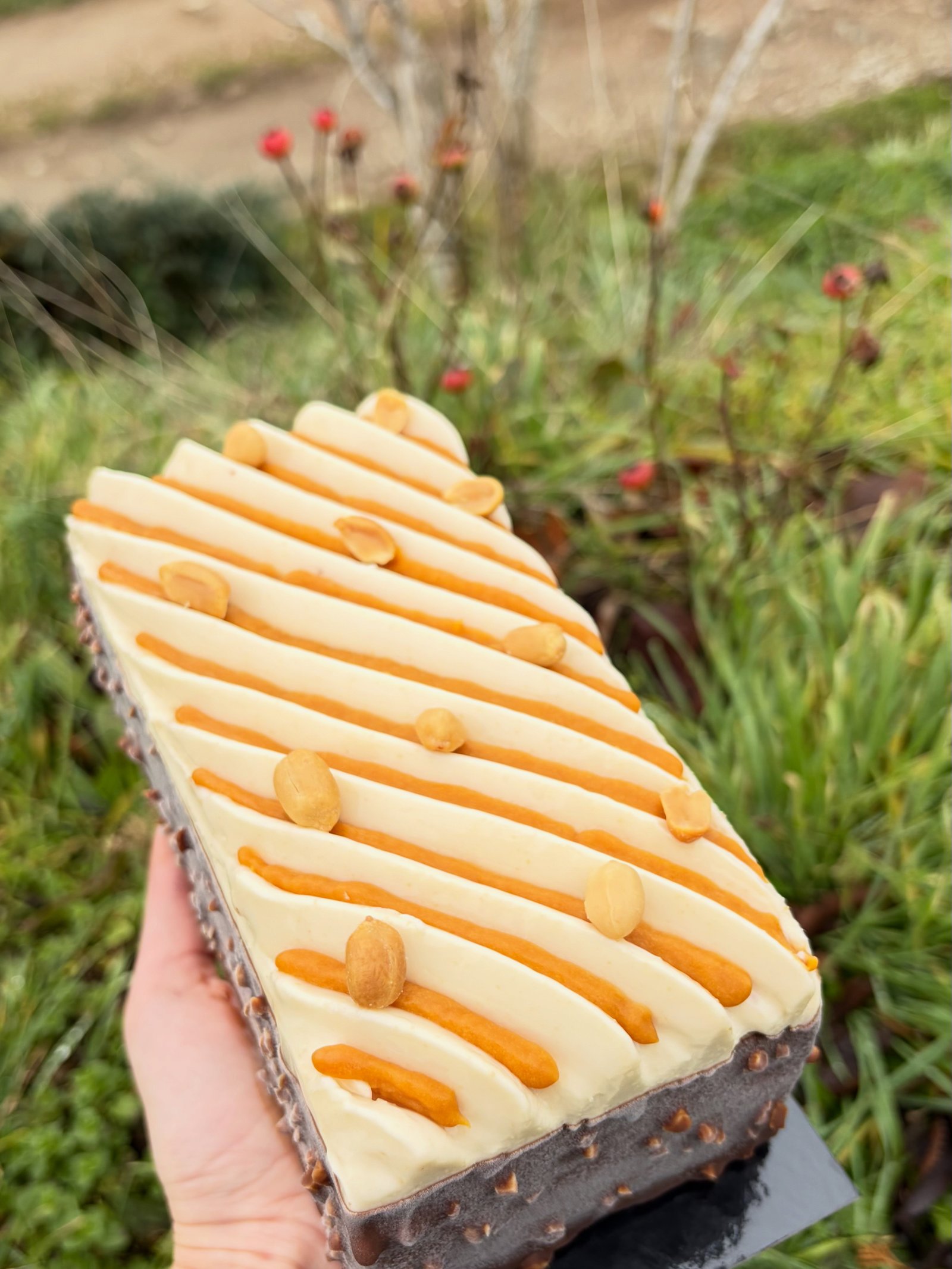 Détail bûche glacée