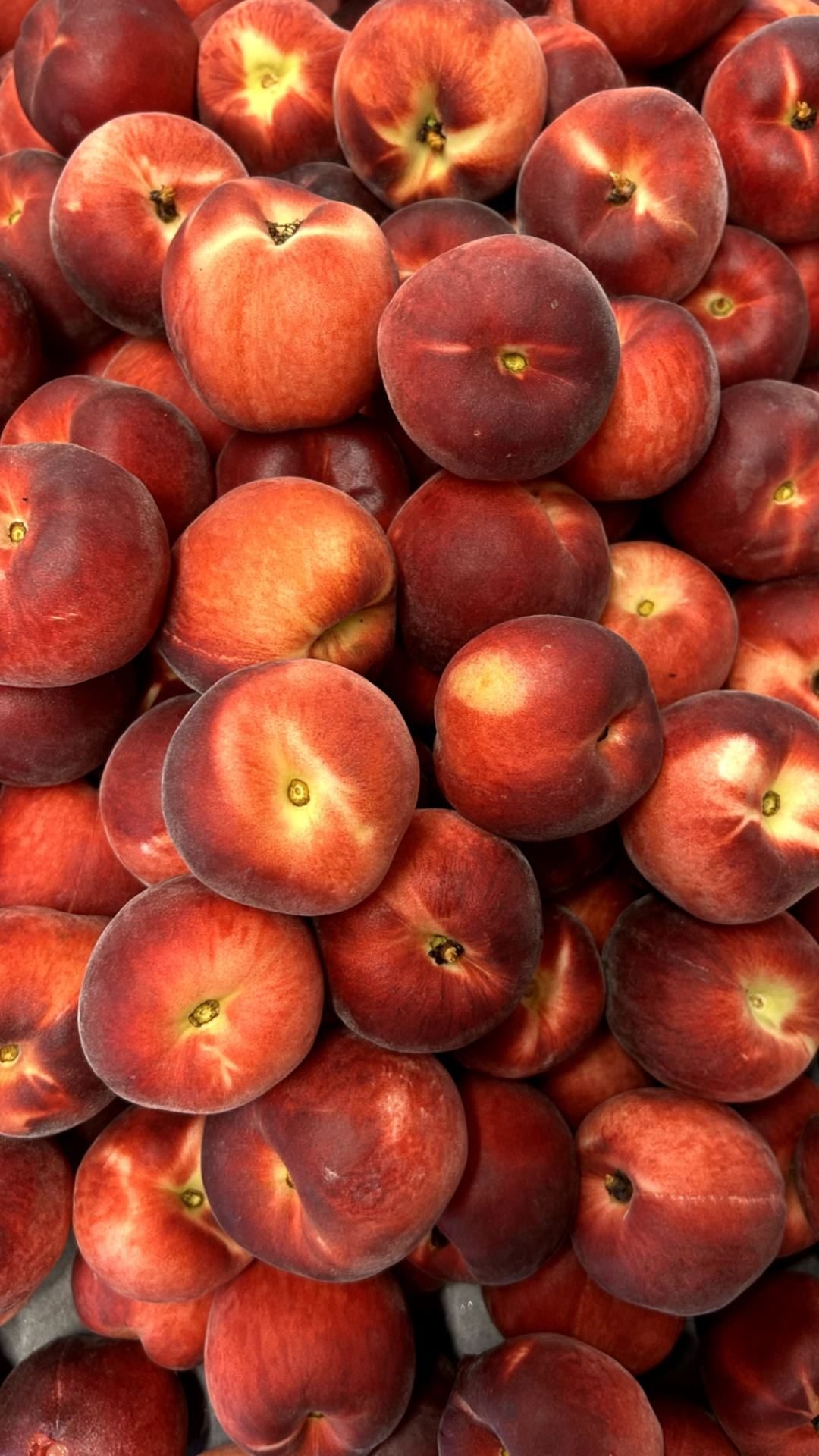 Fruits frais